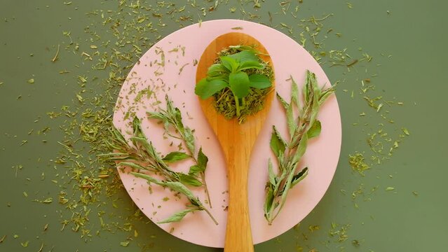 Stevia rebaudiana.Fresh and dried crushed stevia leaves in a wooden spoon on a pink podium on a green background.Vegetable sweetener. Stevia extract.Alternative Low Calorie Sweetener. 