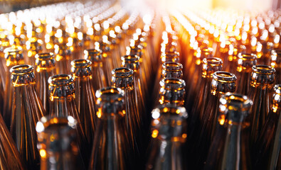 Closeup empty glass bottles of beer move on conveyor line on sunlight background. Concept banner...
