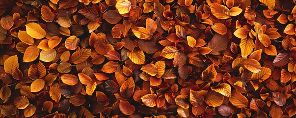 Autumn leaves a carpet of russet and gold seasonal change in all its glory - obrazy, fototapety, plakaty