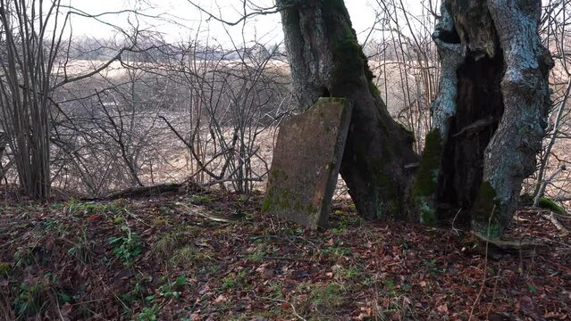 Abandoned and broken gravestone near countryside tree and hole in ground