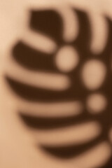 Shadows from monstera leaves