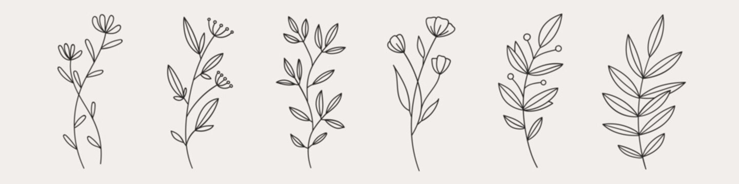 Hand drawn flower doodles. Hand drawn sketch of spring flower plant. Vector simple flower.