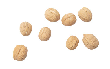 Walnuts isolated white background