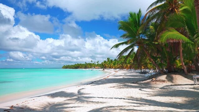 Palm beach with white sand, turquoise ocean, blue cloudy sky. Summer seascape background. Rest and vacation concept. White sun loungers under coconut trees on a Caribbean tropical island.