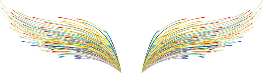 ひろげた翼のような虹色の奔流