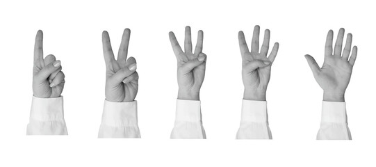 Black and white hand in a white shirt shows fingers gesture. Counting from one to five - elements for collage. Illustration on transparent background