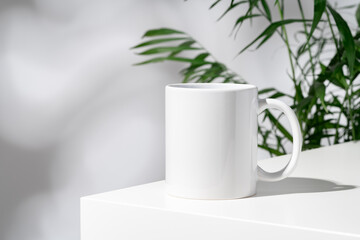 Porcelain cup and palm branch on white background