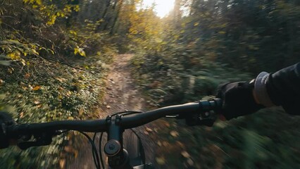 Amazing Lighting for First Person Mountain Bike in the Woods - Powered by Adobe