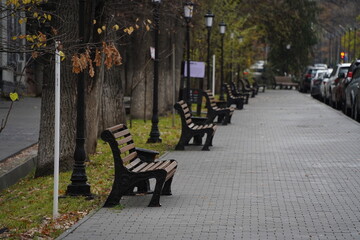 Wooden benches in the city park along the road. Rainy weather.