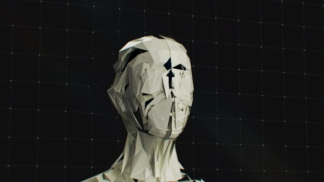 Faceless Entity Portrait - Artificial Intelligence Face Digital Technology Human Mind Host Person Fiction 3D Animation Render