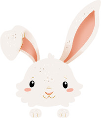 White spring bunny art. Cute easter character.  Cute hare or rabbit illustrations. Transparent background