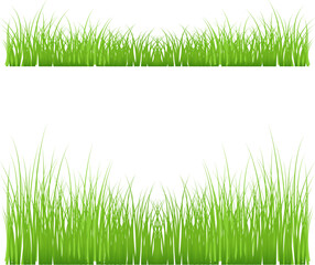 Fototapeta premium Green grass meadow border vector pattern. Spring summer plant field lawn. Grass background Vector illustration.