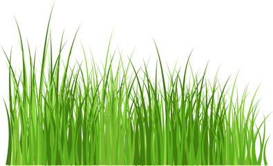 Fototapeta na wymiar Green grass meadow border vector pattern. Spring summer plant field lawn. Grass background Vector illustration.