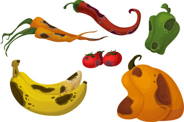Rotten food with rot and mold. Cartoon vector illustration set of dirty spoiled fruits and vegetables. Damaged moldy meal contaminated with fungal spots for compost or recycle concept. Danger product.