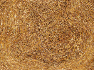 Dry straw texture background, straw bale