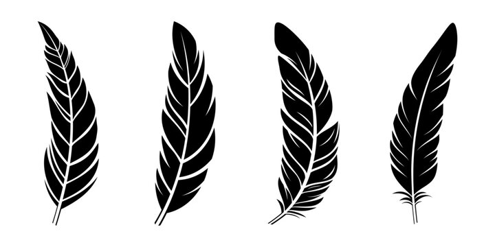 Bird feathers silhouettes collection. Black vector feathers isolated on white background. Vector feathers set.