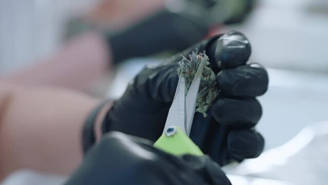 Close up black gloves hands use scissors trimming marijuana flower weed buds, working wage,cannabis trimmers business, trimming marijuana buds leafs, thc extract for medical use, small detailed worker