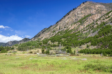 Fototapeta na wymiar Custer National Forest, mountain, blue-sky, canyon and forest summer landscape Montana, USA. 