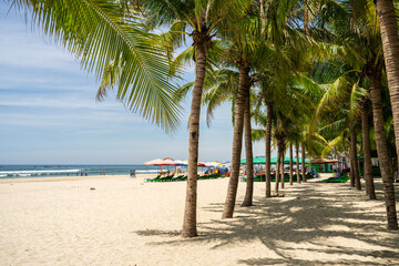 Fototapeta na wymiar ベトナム ダナン ミーケビーチ（My Khe Beach）の青い海と砂浜とヤシの木