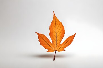 Autumn’s Artistry: An Intricate Orange Leaf Displaying Nature’s Vibrant Fall Colors, generative AI