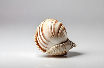 Elegant Spiral Seashell: A Stunning Display of Nature’s Art and Marine Beauty, generative AI