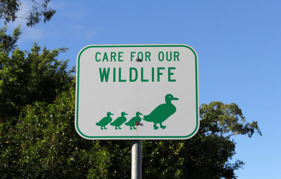 Sign that reads "Care For Our Wildlife" with pictures of ducks with trees and the sky in the background