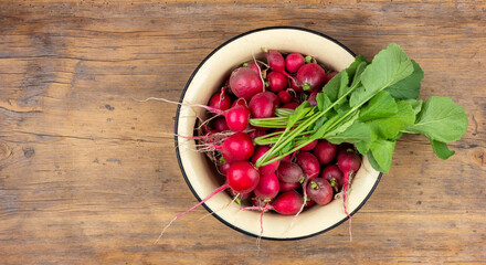 ripe red radish with green tops in a yellow enameled bowl on an old wooden background  top view with a copy space