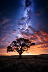 Fototapeta na wymiar High-luminosity Night Sky: A Riot of Stars, Nebulae, and Galaxy Dust Over a Silhouetted Landscape