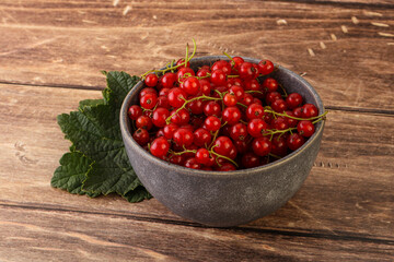 Ripe sweet organic red currant heap