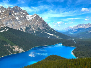 Peyto Lake Canada: Nature's Oasis in the Great North