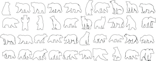 Bear line art, minimalist design, elegant poses