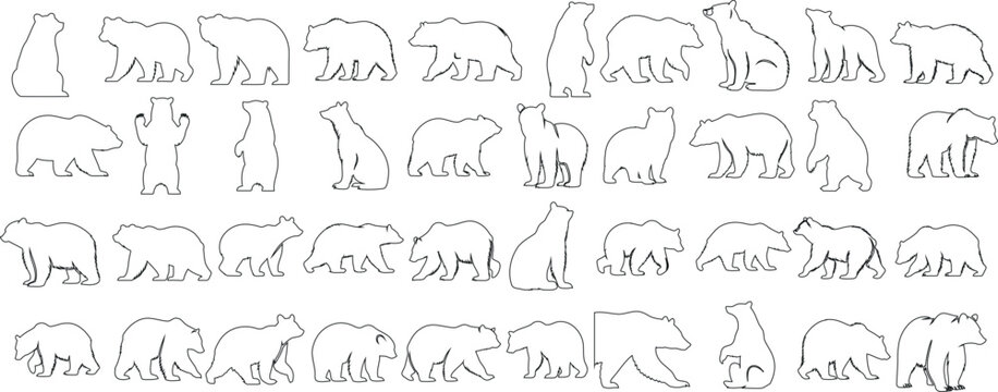 Bear line art, minimalist design, elegant poses