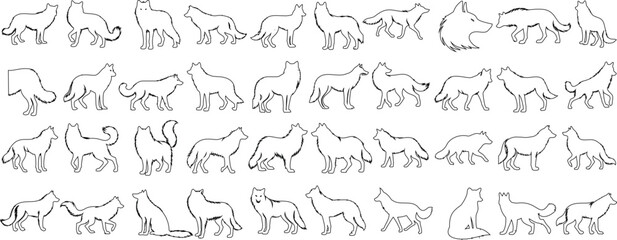 Wolf coloring page, outlined wolves in various poses, perfect for childrens creativity, educational activities, and art projects