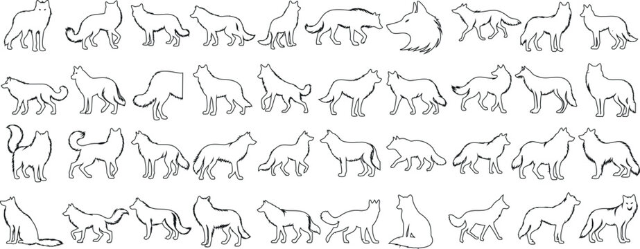 minimalist wolf line art, perfect wolf vector for modern design projects, logos, tattoos. Showcases majestic wolf poses, unique style, detailed contouring, monochrome vector illustrations