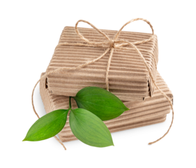 Side view of two craft carton disposable gift boxes tied up with string decorated with fresh green twig with leaves isolated on white background used as eco friendly zero waste holiday wrapping