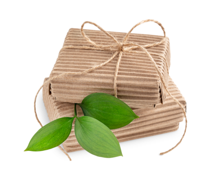 Side view of two craft carton disposable gift boxes tied up with string decorated with fresh green twig with leaves isolated on white background used as eco friendly zero waste holiday wrapping