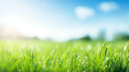 Gardinen Green grass field and blue sky create a summer landscape background with a blurred effect. © crazyass