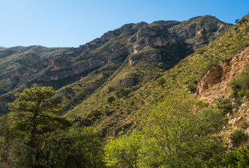 Fototapeta na wymiar Guadalupe Mountains National Park in Western Texas