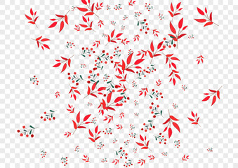 Pink Foliage Background Transparent Vector. Berries Decoration Frame. Green Herb. Burgundy Leaves School. September Set.