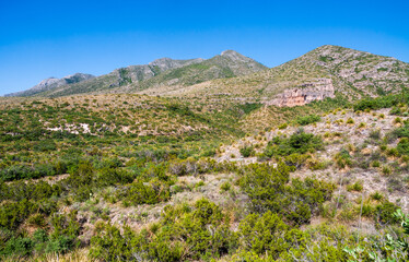 Fototapeta na wymiar Guadalupe Mountains National Park in Western Texas