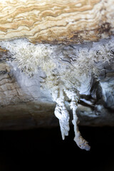 Delicate Stalactites Hanging in a Serene Cave Interior