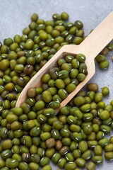 Mung Beans in round bowl on mottled grey surface with copy space