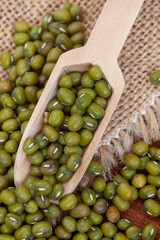 Mung beans on rustic burlap surface with wooden scoop