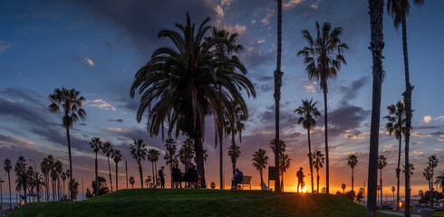 Sunset on Santa Monica beach, panorama of palm tree silhouettes against fiery sky. Los Angeles, California. - 745618800