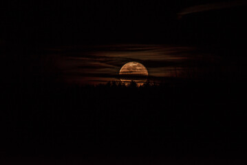 Full moon rising low over the horizon behind clouds and the forest early in the evening in winter.