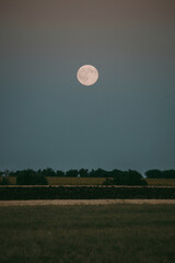 round moon on the background of nature