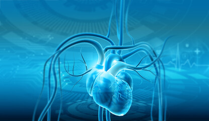 Human heart anatomy on blue color science background. 3d illustration..