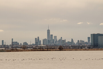 a group of birds in the water at high tide with the city in the background