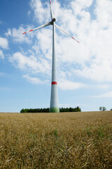 Windkraft, Windrad, abreifendes Rapsfeld