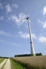 Fototapeta premium Windkraft, Windrad, abreifendes Rapsfeld